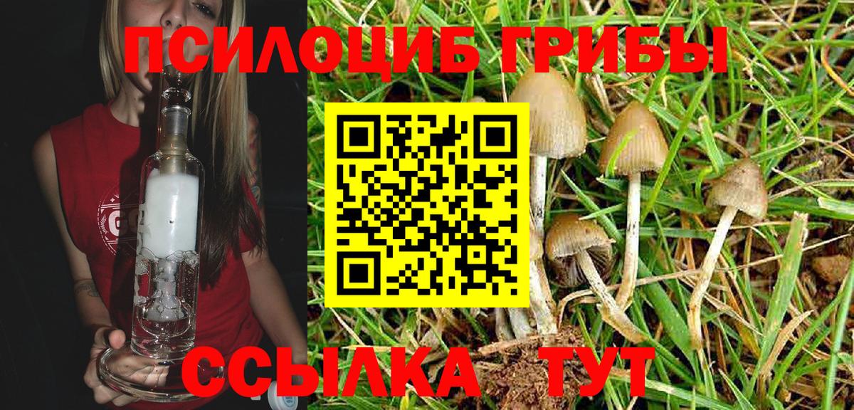 Псилоцибиновые грибы Magic Shrooms  Вход с VPN  цена наркотик  Красногорск  Галлюциногенные грибы мухоморы 
