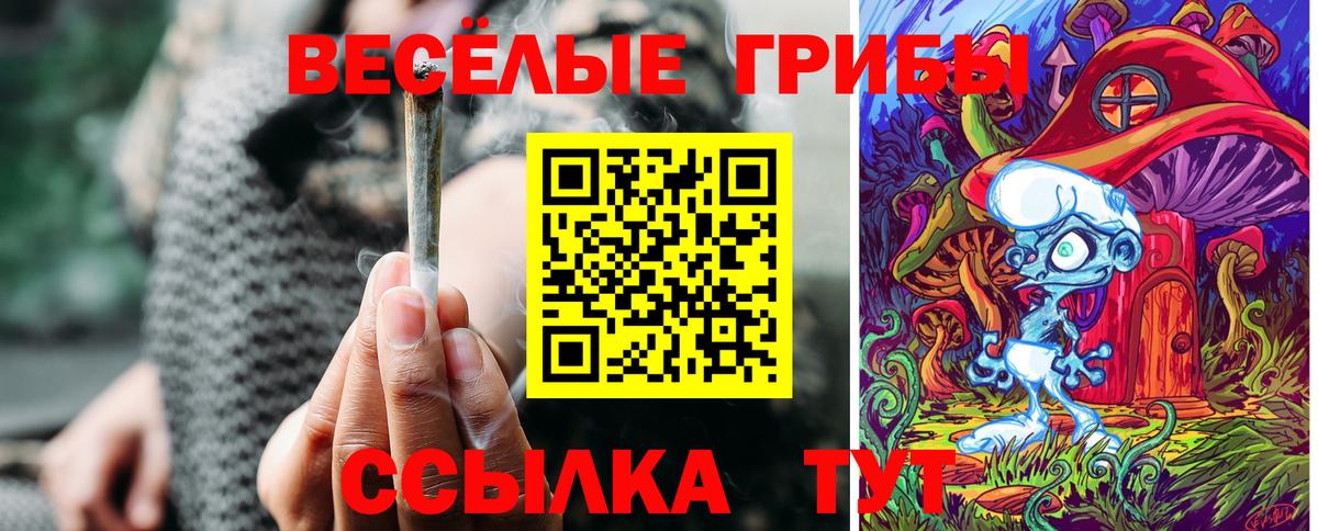 Галлюциногенные грибы GOLDEN TEACHER Красногорск